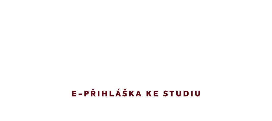 Studia Podyplomowe